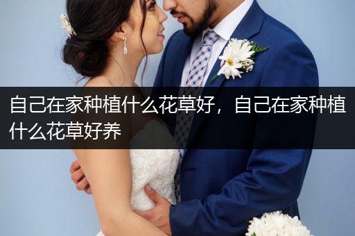 自己在家种植什么花草好，自己在家种植什么花草好养