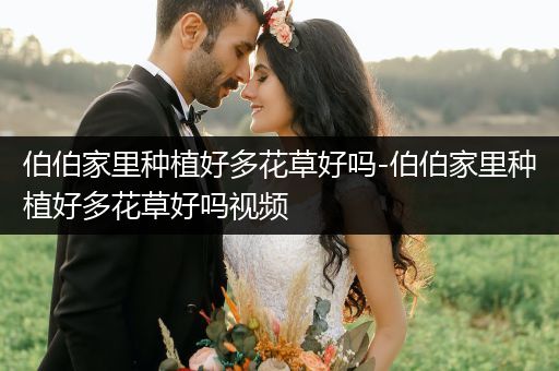 伯伯家里种植好多花草好吗-伯伯家里种植好多花草好吗视频