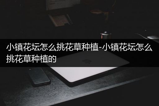 小镇花坛怎么挑花草种植-小镇花坛怎么挑花草种植的