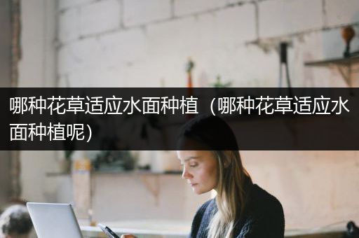 哪种花草适应水面种植（哪种花草适应水面种植呢）