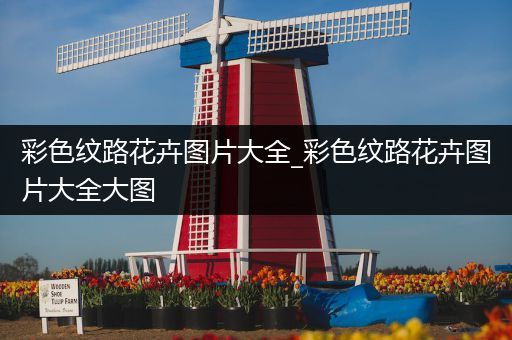 彩色纹路花卉图片大全_彩色纹路花卉图片大全大图