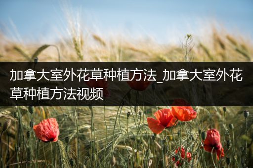 加拿大室外花草种植方法_加拿大室外花草种植方法视频