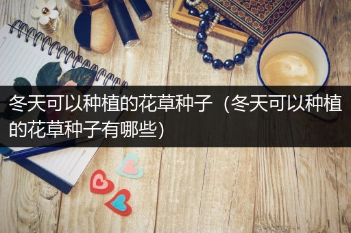 冬天可以种植的花草种子（冬天可以种植的花草种子有哪些）