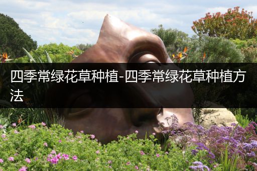 四季常绿花草种植-四季常绿花草种植方法