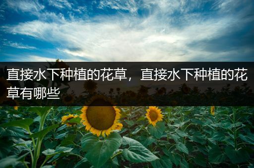 直接水下种植的花草，直接水下种植的花草有哪些