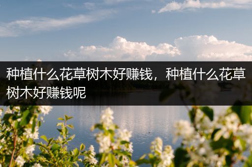 种植什么花草树木好赚钱，种植什么花草树木好赚钱呢