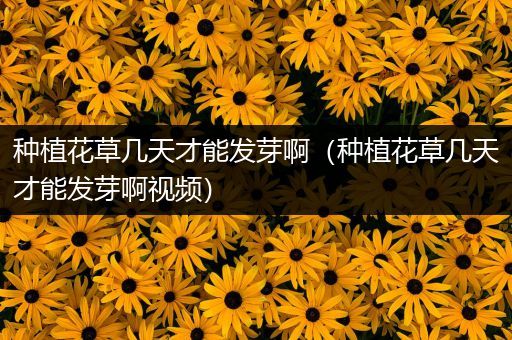 种植花草几天才能发芽啊（种植花草几天才能发芽啊视频）