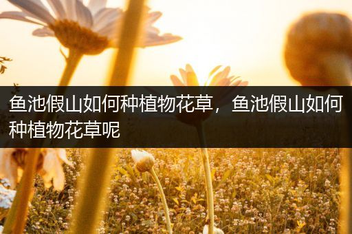 鱼池假山如何种植物花草，鱼池假山如何种植物花草呢