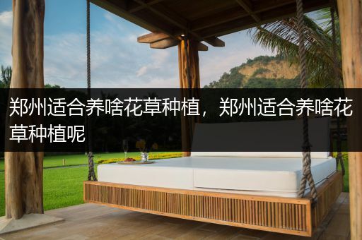 郑州适合养啥花草种植，郑州适合养啥花草种植呢