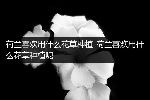 荷兰喜欢用什么花草种植_荷兰喜欢用什么花草种植呢