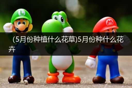 （5月份种植什么花草)5月份种什么花卉