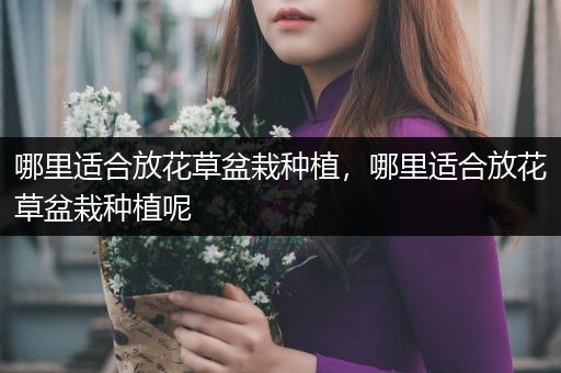 哪里适合放花草盆栽种植，哪里适合放花草盆栽种植呢