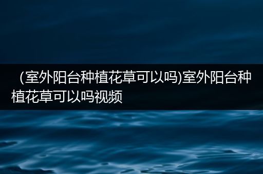 （室外阳台种植花草可以吗)室外阳台种植花草可以吗视频