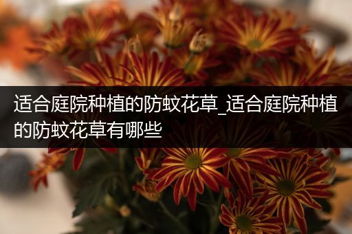适合庭院种植的防蚊花草_适合庭院种植的防蚊花草有哪些