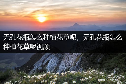 无孔花瓶怎么种植花草呢，无孔花瓶怎么种植花草呢视频