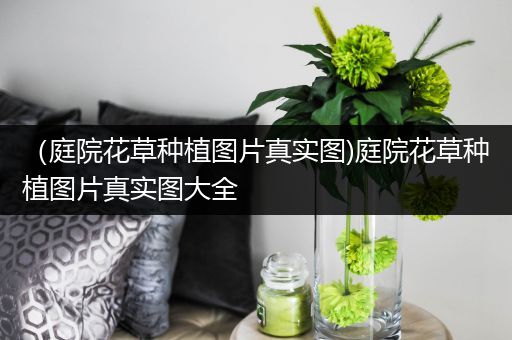 （庭院花草种植图片真实图)庭院花草种植图片真实图大全