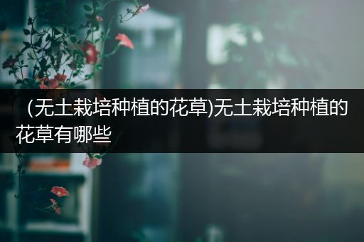 （无土栽培种植的花草)无土栽培种植的花草有哪些