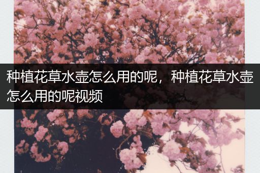 种植花草水壶怎么用的呢，种植花草水壶怎么用的呢视频