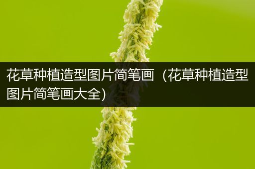 花草种植造型图片简笔画（花草种植造型图片简笔画大全）