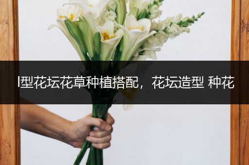 l型花坛花草种植搭配，花坛造型 种花