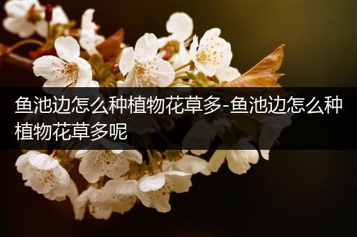 鱼池边怎么种植物花草多-鱼池边怎么种植物花草多呢