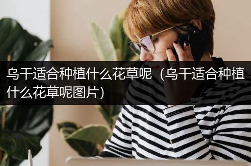 乌干适合种植什么花草呢（乌干适合种植什么花草呢图片）