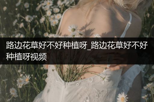 路边花草好不好种植呀_路边花草好不好种植呀视频