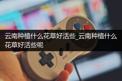 云南种植什么花草好活些_云南种植什么花草好活些呢