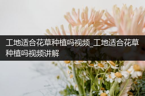 工地适合花草种植吗视频_工地适合花草种植吗视频讲解