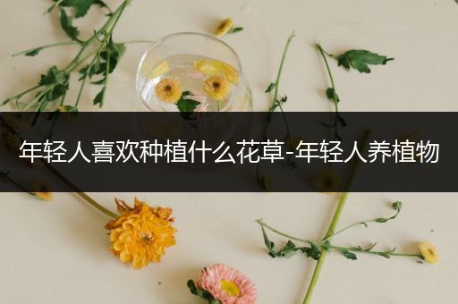 年轻人喜欢种植什么花草-年轻人养植物