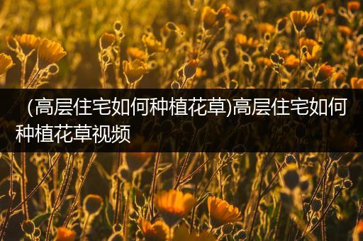 （高层住宅如何种植花草)高层住宅如何种植花草视频