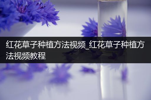 红花草子种植方法视频_红花草子种植方法视频教程