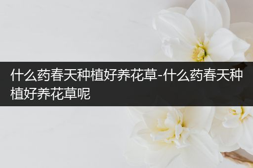 什么药春天种植好养花草-什么药春天种植好养花草呢