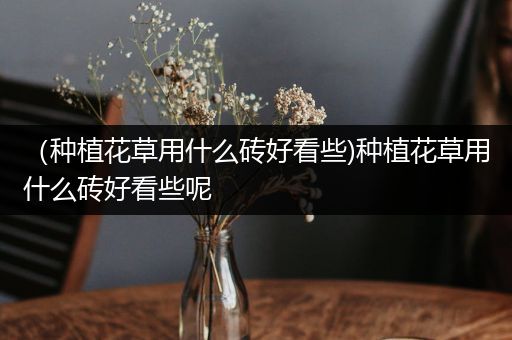 （种植花草用什么砖好看些)种植花草用什么砖好看些呢