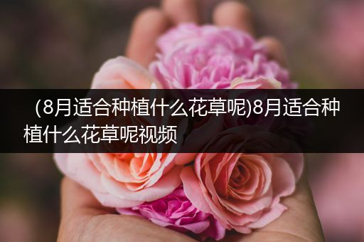 （8月适合种植什么花草呢)8月适合种植什么花草呢视频