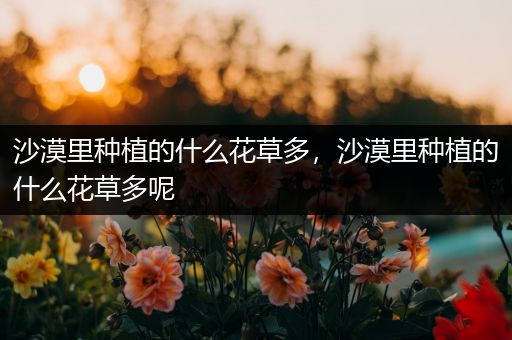 沙漠里种植的什么花草多，沙漠里种植的什么花草多呢