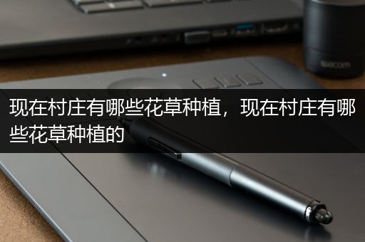 现在村庄有哪些花草种植，现在村庄有哪些花草种植的