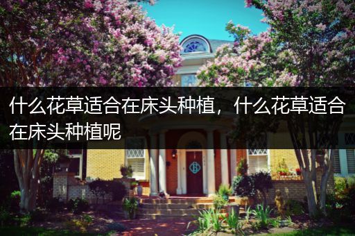 什么花草适合在床头种植，什么花草适合在床头种植呢
