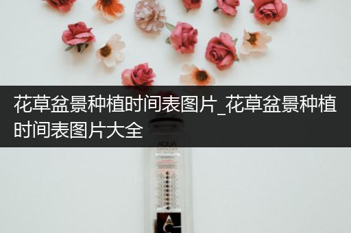 花草盆景种植时间表图片_花草盆景种植时间表图片大全