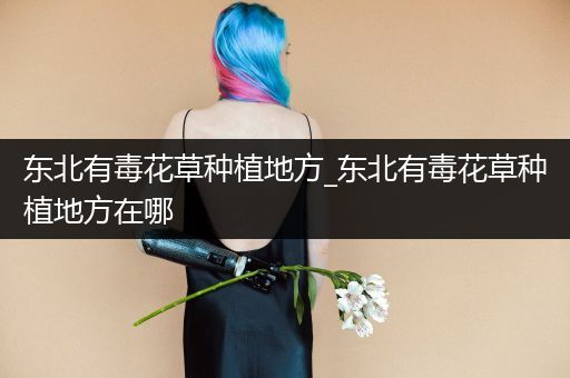 东北有毒花草种植地方_东北有毒花草种植地方在哪