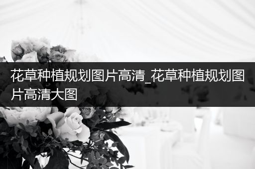 花草种植规划图片高清_花草种植规划图片高清大图