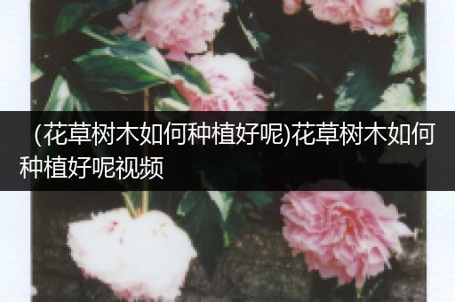 （花草树木如何种植好呢)花草树木如何种植好呢视频