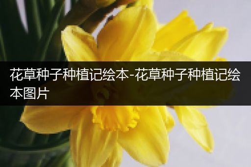 花草种子种植记绘本-花草种子种植记绘本图片