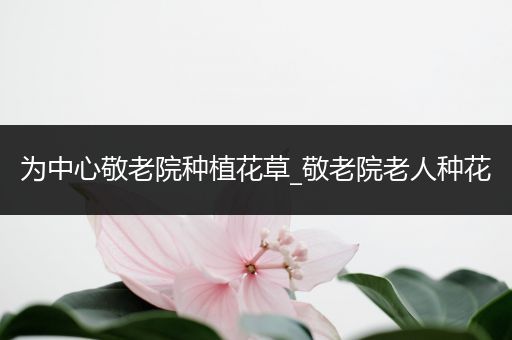 为中心敬老院种植花草_敬老院老人种花