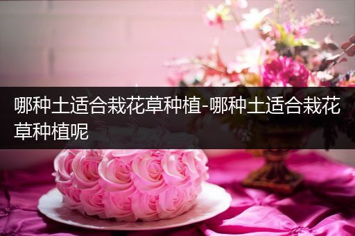 哪种土适合栽花草种植-哪种土适合栽花草种植呢
