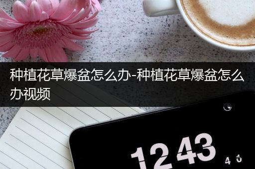 种植花草爆盆怎么办-种植花草爆盆怎么办视频