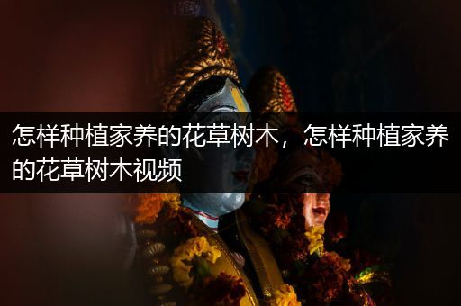 怎样种植家养的花草树木，怎样种植家养的花草树木视频