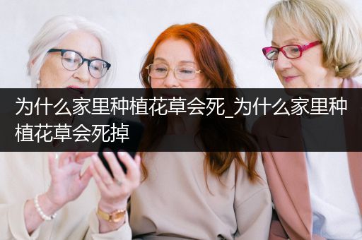 为什么家里种植花草会死_为什么家里种植花草会死掉