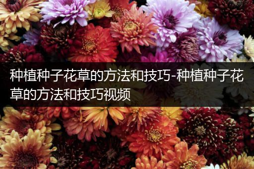 种植种子花草的方法和技巧-种植种子花草的方法和技巧视频