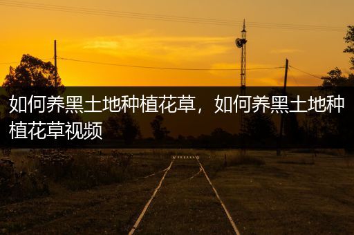 如何养黑土地种植花草，如何养黑土地种植花草视频
